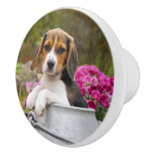 Niedlicher Beagle Hund Welpe in einer Milchkühne - Keramikknauf (Rechts)