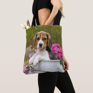 Niedlicher Beagle Hund Welpe in Milk Churn Foto Sh Tasche