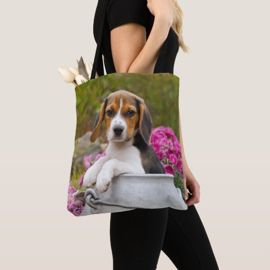 Niedlicher Beagle Hund Welpe in Milk Churn Foto Sh Tasche (Von Nahem)