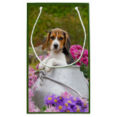 Niedlicher Beagle Hund Welpe in Milk Churn mit Blu Kleine Geschenktüte (Rückseite)