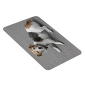 Niedlicher Beagle Mongrel Magnet (Rechte Seite)