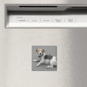 Niedlicher Beagle Mongrel Magnet (In Situ (Geschirrspüler))