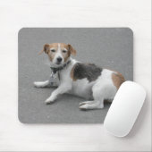 Niedlicher Beagle Mongrel Mousepad (Mit Mouse)