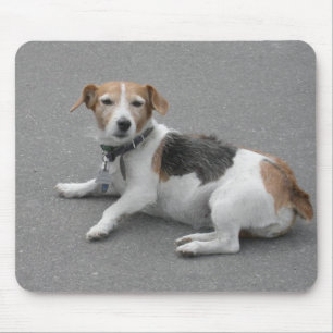 Niedlicher Beagle Mongrel Mousepad