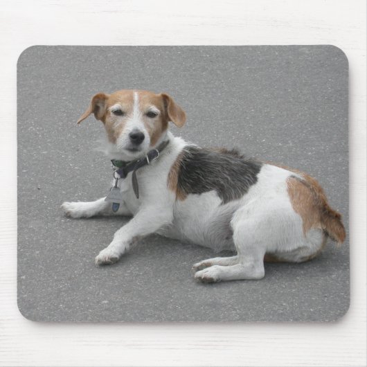 Niedlicher Beagle Mongrel Mousepad (Vorne)