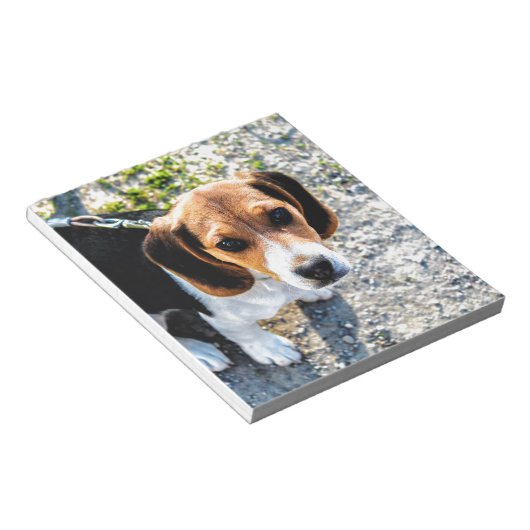 Niedlicher Beagle Notizblock (angewinkelt)
