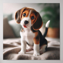 Niedlicher Beagle