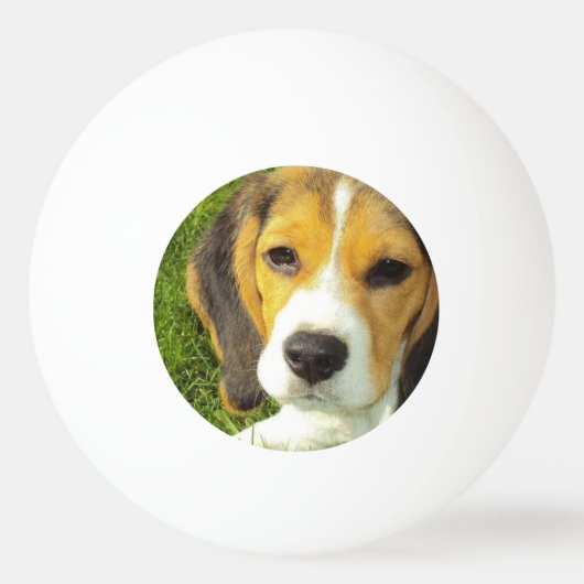 Niedlicher Beagle Tischtennisball (Vorderseite)