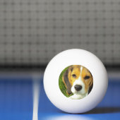 Niedlicher Beagle Tischtennisball (Netto)