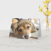 Niedlicher Beagle Welpe Geburtstagskarte Karte (Gelbe Blume)