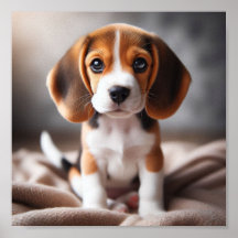 Niedlicher Beagle Welpe mit schönen Augen