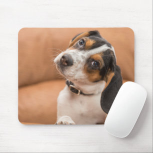 Niedlicher Beagle Welppy Quizical Look Mousepad