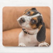 Niedlicher Beagle Welppy Quizical Look Mousepad (Vorne)