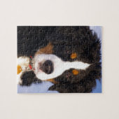 Niedlicher Berner Hund Puzzle (Horizontal)