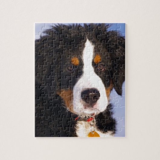 Niedlicher Berner Hund Puzzle (Vertikal)