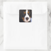 Niedlicher Berner Hund Quadratischer Aufkleber (Tasche)