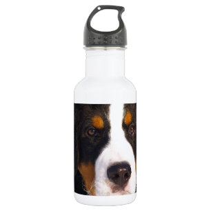 Niedlicher Berner Hund Trinkflasche