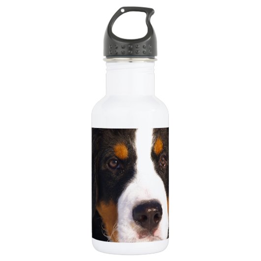 Niedlicher Berner Hund Trinkflasche (Vorderseite)