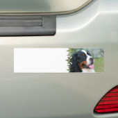 Niedlicher Bernese Autoaufkleber (Auf Auto)