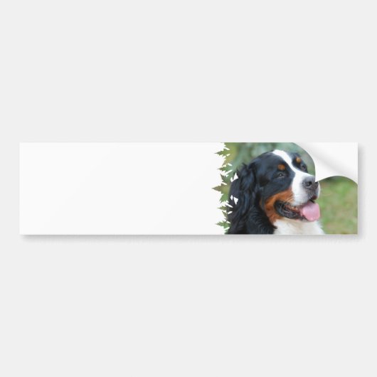 Niedlicher Bernese Autoaufkleber (Vorne)