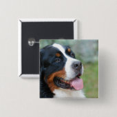 Niedlicher Bernese Knopf Button (Vorne & Hinten)