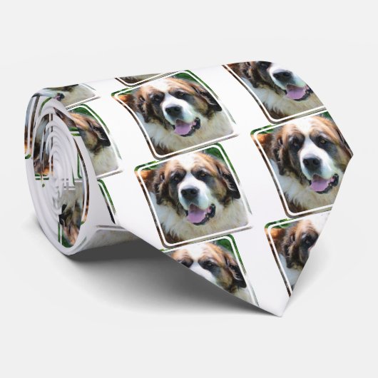 Niedlicher Bernhardiner Krawatte (Gerollt)