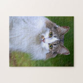 Niedlicher Besuch der Calico Katze im Garten Puzzle (Horizontal)