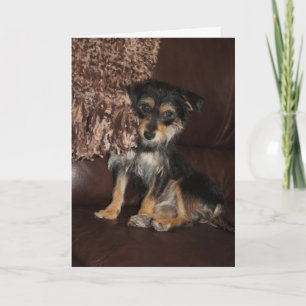 Niedlicher, bezaubernder Hund Karte