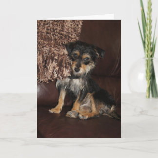 Niedlicher, bezaubernder Hund Karte
