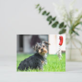 Niedlicher bezaubernder Welpenhund im Garten im Sp Postkarte (Stehend Vorderseite)