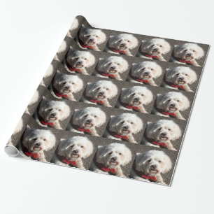 Niedlicher bichon frise Hund Geschenkpapier