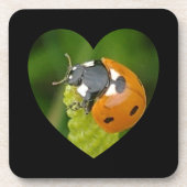 Niedlicher Big Ladybug in einem Untersetzer auf de (Vorderseite)