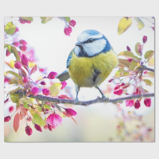 Niedlicher Bird Geschenkpapier (Flach)