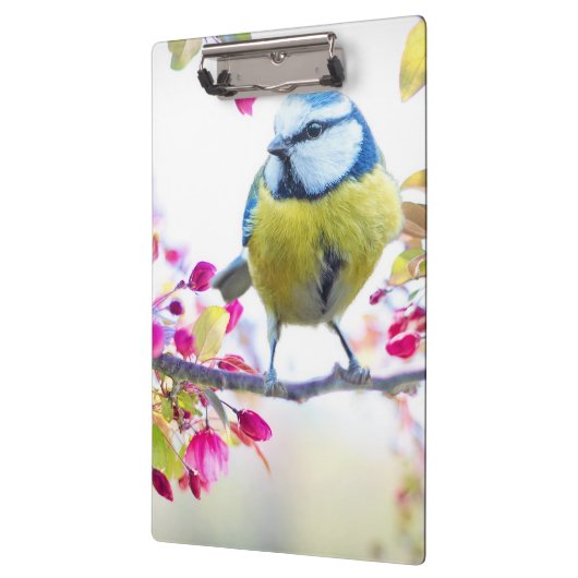 Niedlicher Bird Klemmbrett (Links)