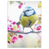 Niedlicher Bird Klemmbrett (Rückseite)