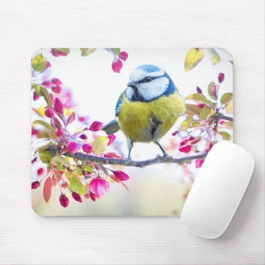 Niedlicher Bird Mousepad (Mit Mouse)