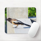 Niedlicher Bird Mousepad (Mit Mouse)
