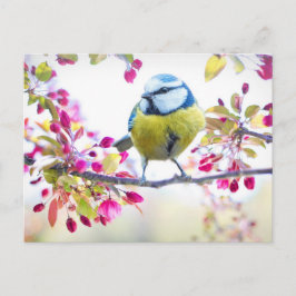 Niedlicher Bird Postkarte