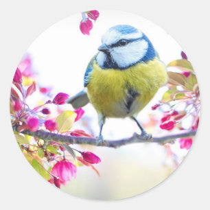 Niedlicher Bird Runder Aufkleber