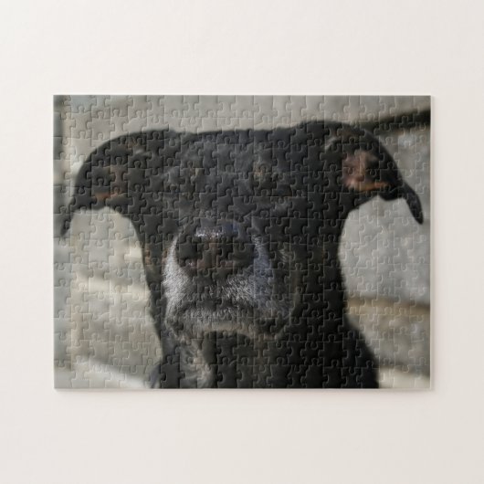 Niedlicher Black Dog Labrador Shepherd Mix Breed H Puzzle (Horizontal)