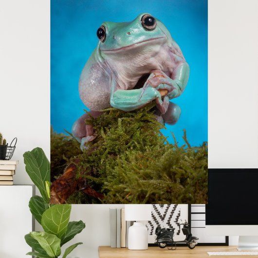 Niedlicher Blaue Phase Weißer Baumfrosch lächelnd Poster (Heimbüro)