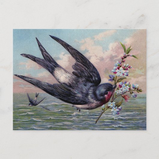 Niedlicher Blauer Schwalbenvogel und Hübsche Blume Postkarte (Vorderseite)