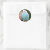 Niedlicher Blue Budgie Bird auf einer Baumzweigung Runder Aufkleber (Tasche)