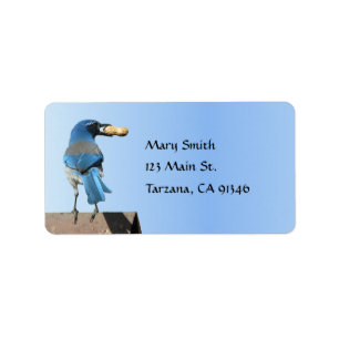Niedlicher Blue Scrub Jay Bird mit Peanut Label Adressaufkleber