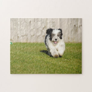 Niedlicher Bobtail Puzzle
