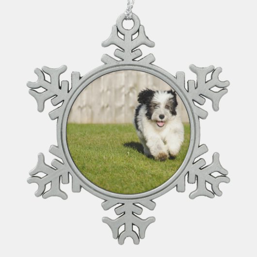 Niedlicher Bobtail Schäferhund Schneeflocken Zinn-Ornament (Vorderseite)