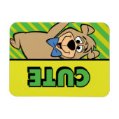 Niedlicher Boo-Boo-Bär Magnet (Horizontal)