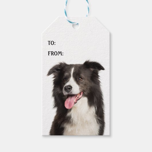 Niedlicher Border Collie Welpe Dog Lover Schwarz-w Geschenkanhänger (Vorderseite)