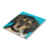 Niedlicher Borkie Welpe Fliese (Seite)