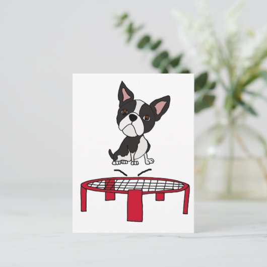 Niedlicher Boston Terrie Dog auf Trampolin Cartoon Postkarte (Stehend Vorderseite)